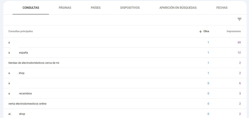 Pestaña consultas en Search Console